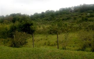 1.1 ha Land available in Crestholme