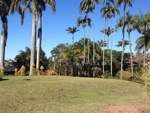 7 ha Farm in Shakaskraal
