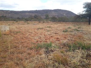 2 ha Farm in Mokopane