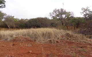 1030 m² Land available in Kameeldrift