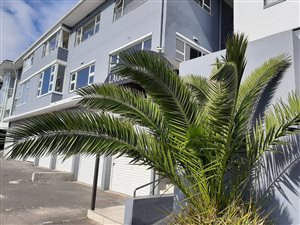 1 Bed Apartment in Milnerton Central