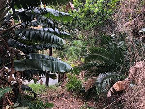 2972 m² Land available in Southbroom
