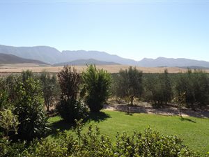 42 ha Farm in Robertson