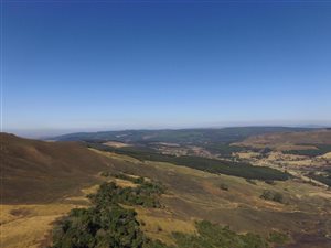 62.5 ha Smallholding in Byrne Valley