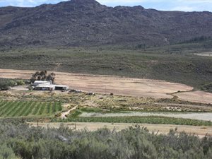 1125 ha Farm in Montagu