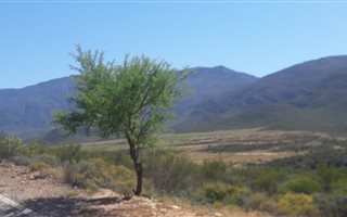 1041 m² Land available in Ashton