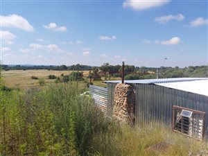 12 ha Farm in Olive Hill