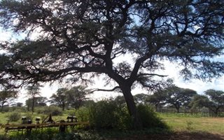 1800 ha Farm in Vryburg
