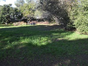 878 m² Land available in Eversdal