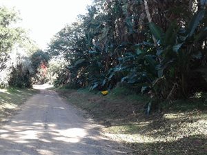1628 m² Land available in Trafalgar