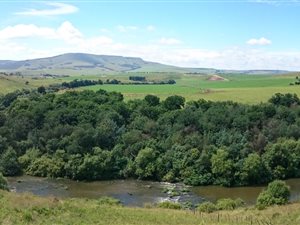 20 ha Farm in Mooi River