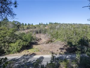 15.2 ha Land available in George Central