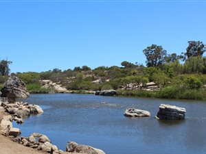 Farm in Lamberts Bay