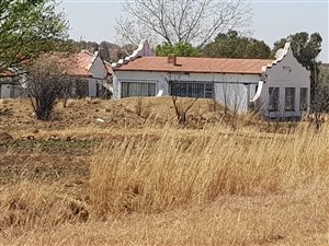 9 ha Farm in De Deur