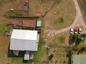 30 ha Farm in Thornhill