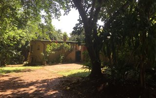 4 Bedroom Apartment in Glenmore