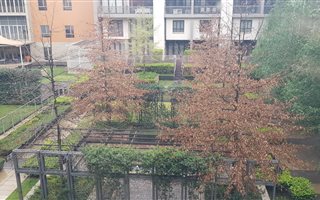 2 Bedroom Apartment in Melrose Arch