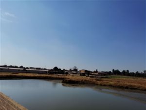 17.9 ha Farm in Benoni AH