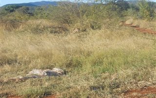 465 m² Land available in Lebowakgomo
