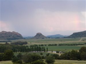 1080 ha Farm in Ladybrand
