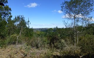 3 ha Land available in Wilderness Heights