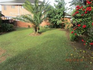 3 Bedroom House in Orient Heights
