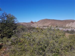 5 ha Farm in Ladismith
