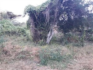 1370 m² Land available in Athlone Park