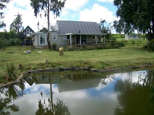 3 ha Smallholding in Rosetta