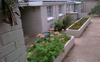 1 Bedroom Apartment in Scottsville