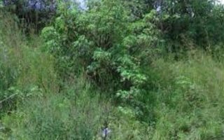 587 m² Land available in Kharwastan