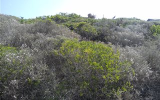 663 m² Land available in Boggomsbaai