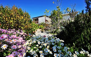 3 Bedroom House in Darling
