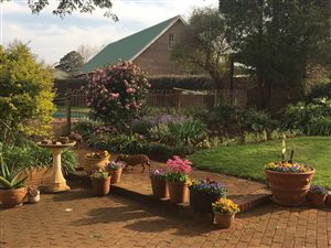 278 ha Farm in Birnamwood