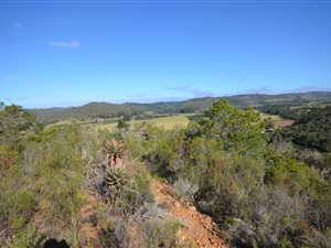 7 ha Farm in Plettenberg Bay