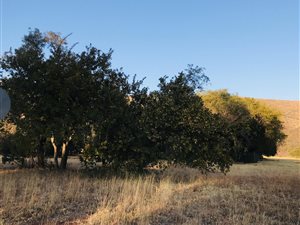 1185 m² Land available in Wigwam