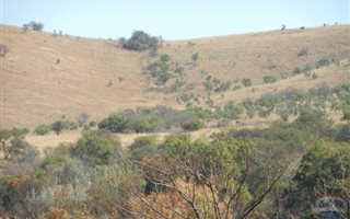 3142 ha Farm in Mokopane