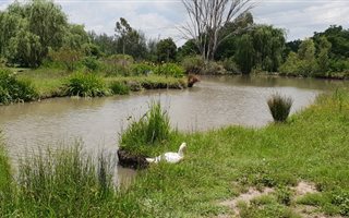 3 ha Farm in Glenferness AH
