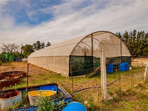 11 ha Farm in Addo
