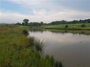 5 ha Farm in Donkerhoek