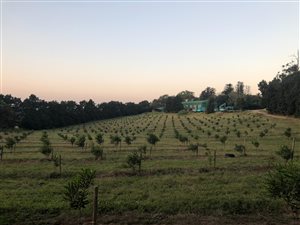 23.5 ha Farm in Empangeni