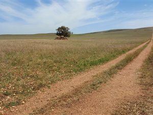 449.8 ha Farm in Bredasdorp