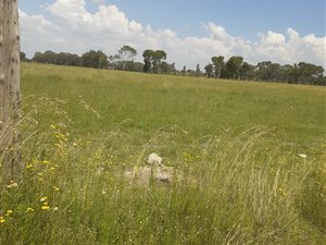 1 ha Land available in Bloemfontein