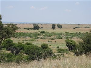 177 ha Farm in Ventersburg