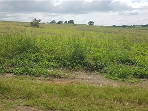 2.4 ha Land available in Ballito Commercial District