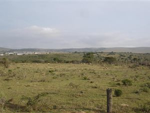 5045 m² Land available in Grahamstown