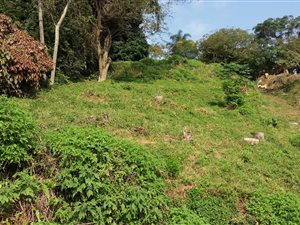 1071 m² Land available in Pennington