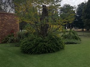 2 ha Farm in Bapsfontein