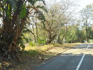 2499 m² Land available in Southbroom