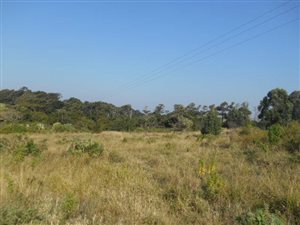 2.6 ha Farm in Hibberdene